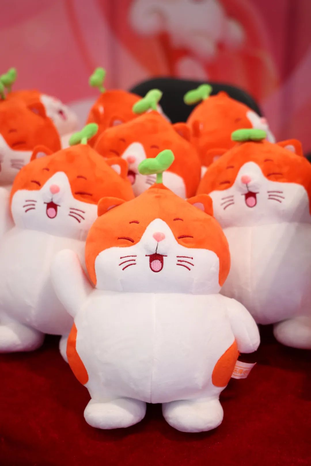 【官方周边】撸猫吗？免费送的那种！